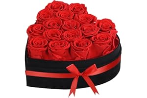 woyoo Luxury Forever Real Roses in Suede Box - 16-Piece Preserved Flowers Roses Gifts for Delivery Prime Birthday, Valentines's Day, Mother's Day,Anniversary, Graduation Gifts for Her (Red)