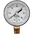 Winters 2 inch Dial Size, Economy Utility Dry Pool Filter Pressure Gauge, Brass Internals, Plastic Case, Single Scale 0-60 psi, 3-2-3% Acc, 1/4 inch NPT Bottom Mount, Multi Function Pressure Gauge