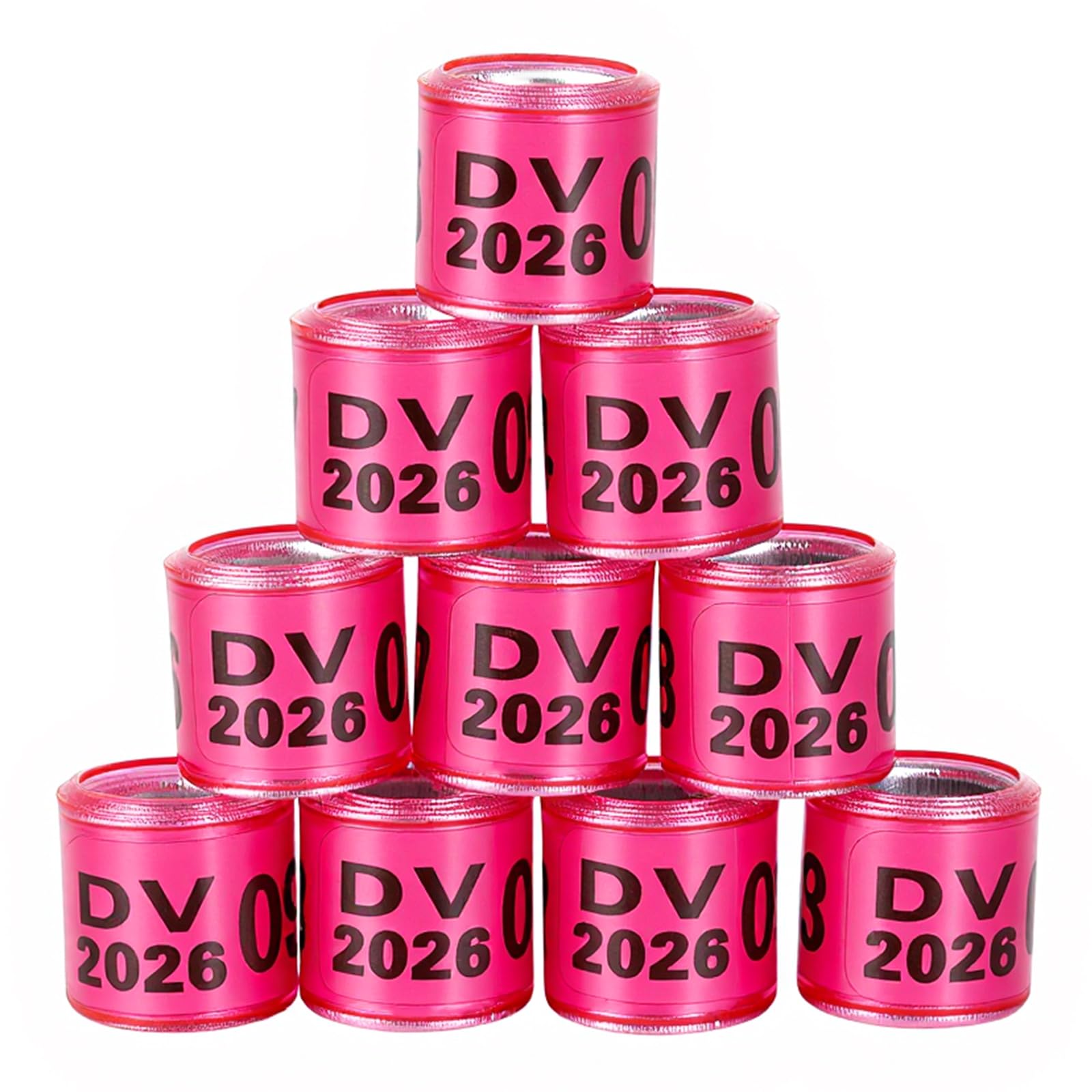 FULAIERGD Pack of 100 Multicoloured Aluminium Pigeon Leg Rings Pigeon Leg Rings Identifying Bands Plastic with 2026 DV Training Identify Birds Foot Ring