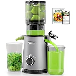 Cold Press Juicer, ECOSELF Juicer Machines with
