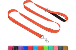 Taglory Dog Leash for Small Dogs | Double-Sided Reflective | Soft Neoprene Padded Handle | 3/4 inch by 6 ft | Fit Small Medium Large Breeds Dogs Under 20lbs | Orange