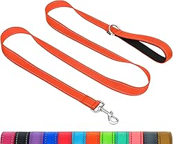 Taglory Dog Leash for Medium Large