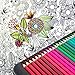 Diamond Driven #1 Artists Colored Pencils 120 Premium Soft Core Pre-Sharpened Colored Pencils Highly Pigmented Drawing Coloring Pages - Great Art School Supplies For Kids & Adults Professional Pencils