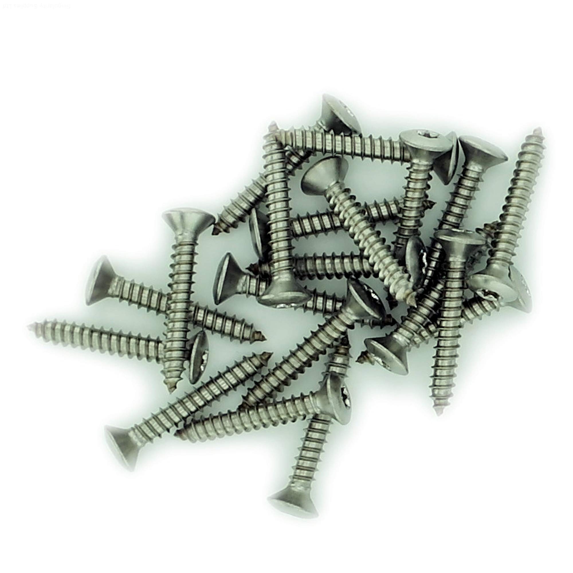 No.12 x 0.975 (5.5mm x 25mm) TX Raised Countersunk Self-Tapping Screw - Stainless Steel (A2) (Pack of 20)