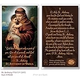 THE SAINTS COLLECTION St. Anthony of Padua Laminated Prayer Cards pack of 20