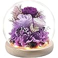 YWHSM Valentines Day Roses Gifts for Her, Rose in Glass Dome with LED Light - Gifts for Women Mom Grandma Girlfriend Wife
