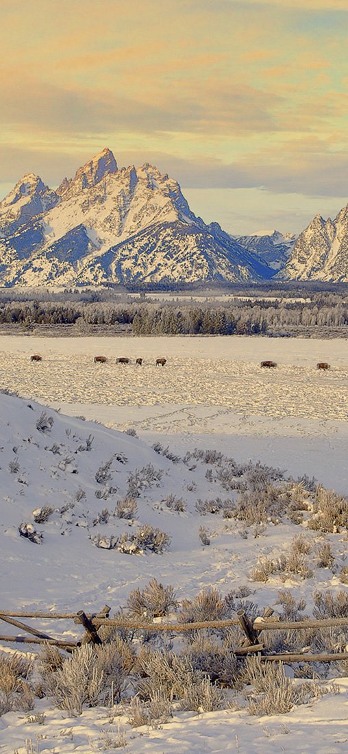 PeelitStickit, Beautiful Nature Wall Murals, ID-1156, vinyl