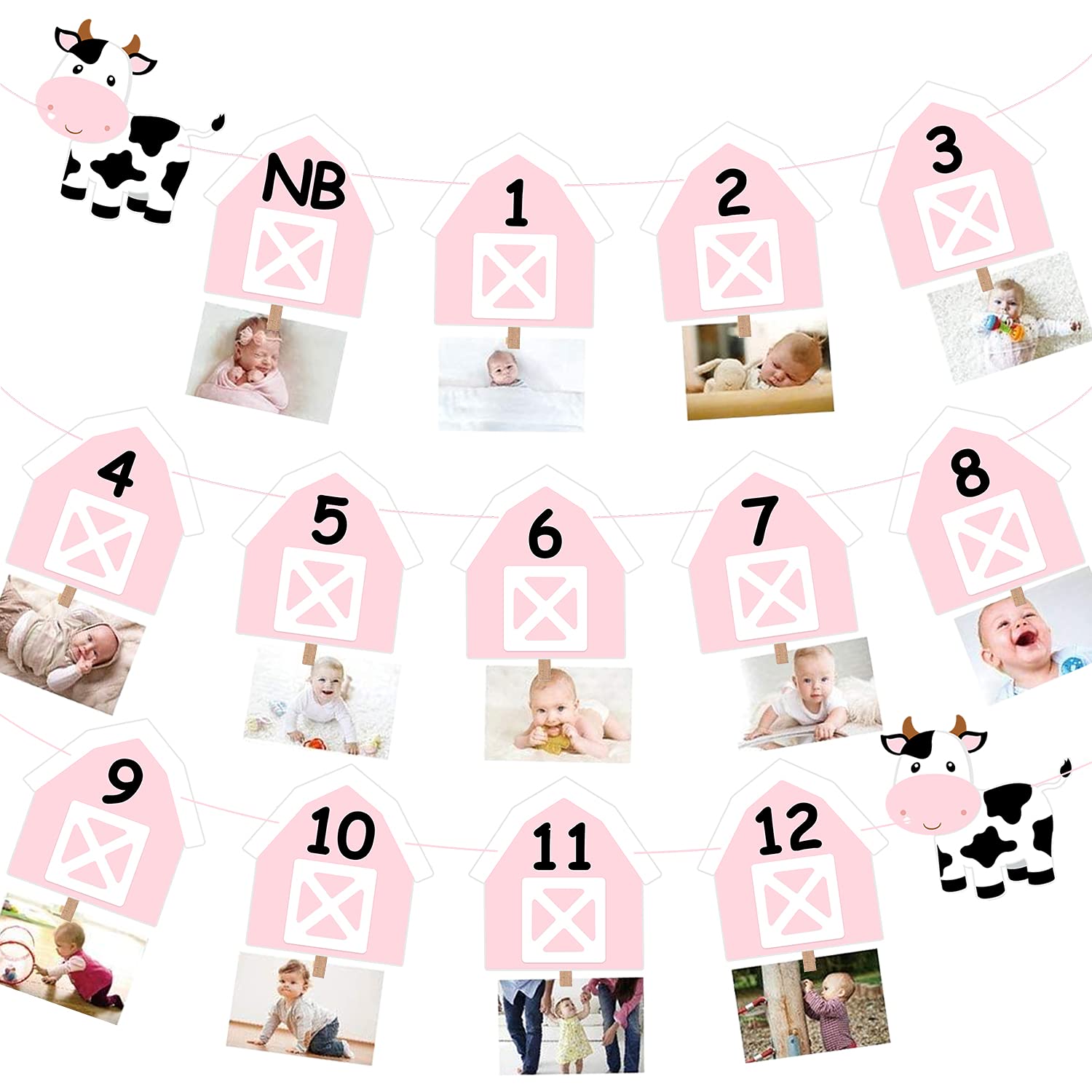 Photo 1 of Cow 12 Month Photo Banner 1st Birthday Party Decoration One Cake Smash Pink Farmhouse Animal Photo Backdrop Supplies