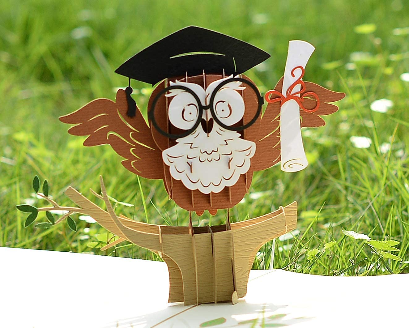 CUTPOPUP Graduation Card, Back To School Pop Up (Owl) UK