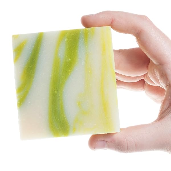 360FEEL COOL FRESH ALOE SOAP – HANDCRAFTED CASTILE BAR SOAP WITH SOOTHING SCENT – HANDMADE WITH ESSENTIAL OILS – IDEAL GIFT FOR ANNIVERSARIES, WEDDINGS, AND HOLIDAY STOCKINGS – RICH LATHER – 5 OUNCE