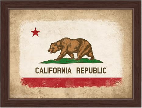 Amazon Com Distressed State Flag Of California Republic Framed Canvas Art Print Wall Decor 16x24 Posters Prints