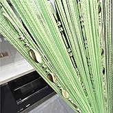 ave split 100cmX200cm Decorative Door String Curtain Beads Wall Panel Fringe Window Room Divider Blind for Coffee House Restaurant Parts Door Divider Beads Tassel Screen Decoration (Fruit green25£©