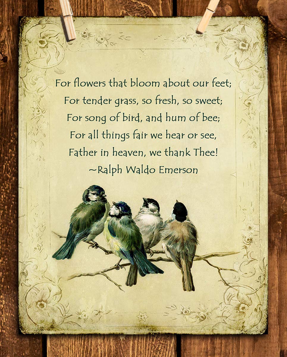 Download Poet ralph waldo emerson Desktop Wallpaper Poet Ralph Waldo Emerson