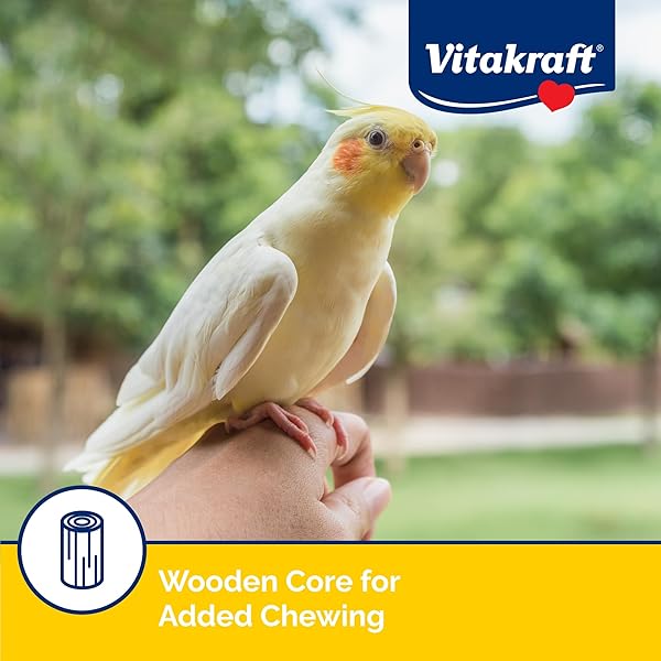 VITAKRAFT CRUNCH STICKS COCKATIEL TREAT APRICOT PEACH FLAVOR – TRIPLE BAKED LONG LASTING BIRD TREATS WITH NATURAL WOOD CHEW CENTER FOR BEAK HEALTH AND ENRICHMENT – 3.5 OZ.