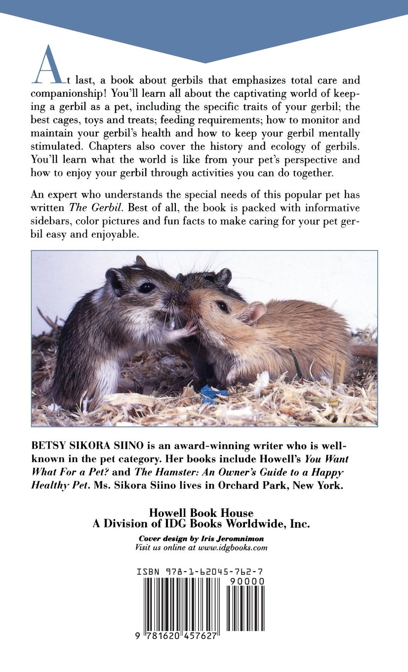 Gerbil An Owners Guide To A Happy Healthy Pet Your Happy - 