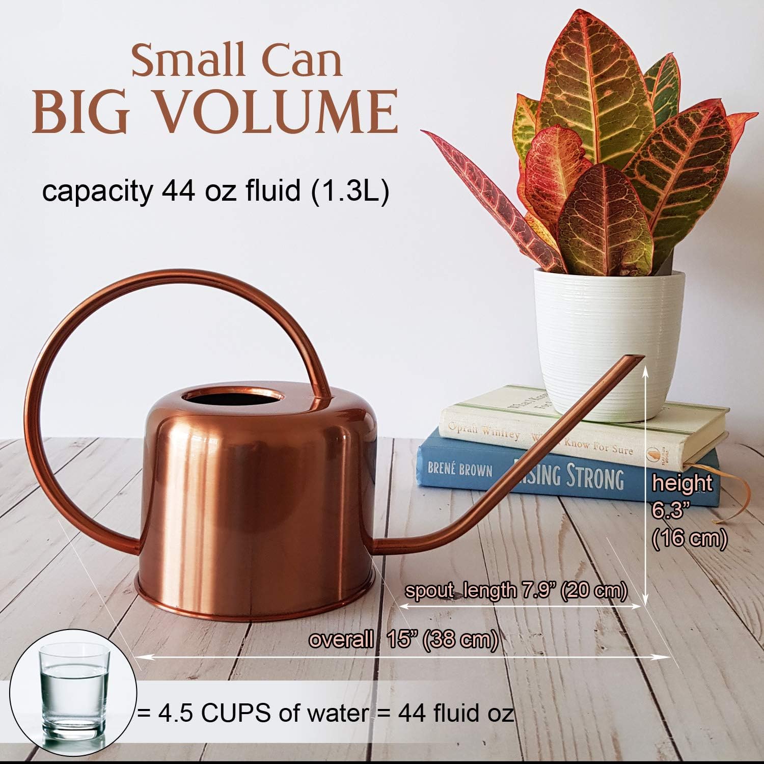ubequity decor Small Watering Can for Indoor Plants - Copper Colored Watering Can for House Plants with Long Spout is Ideal - Functional and Stylish - No Drips and Rustproof : Garden & Outdoor