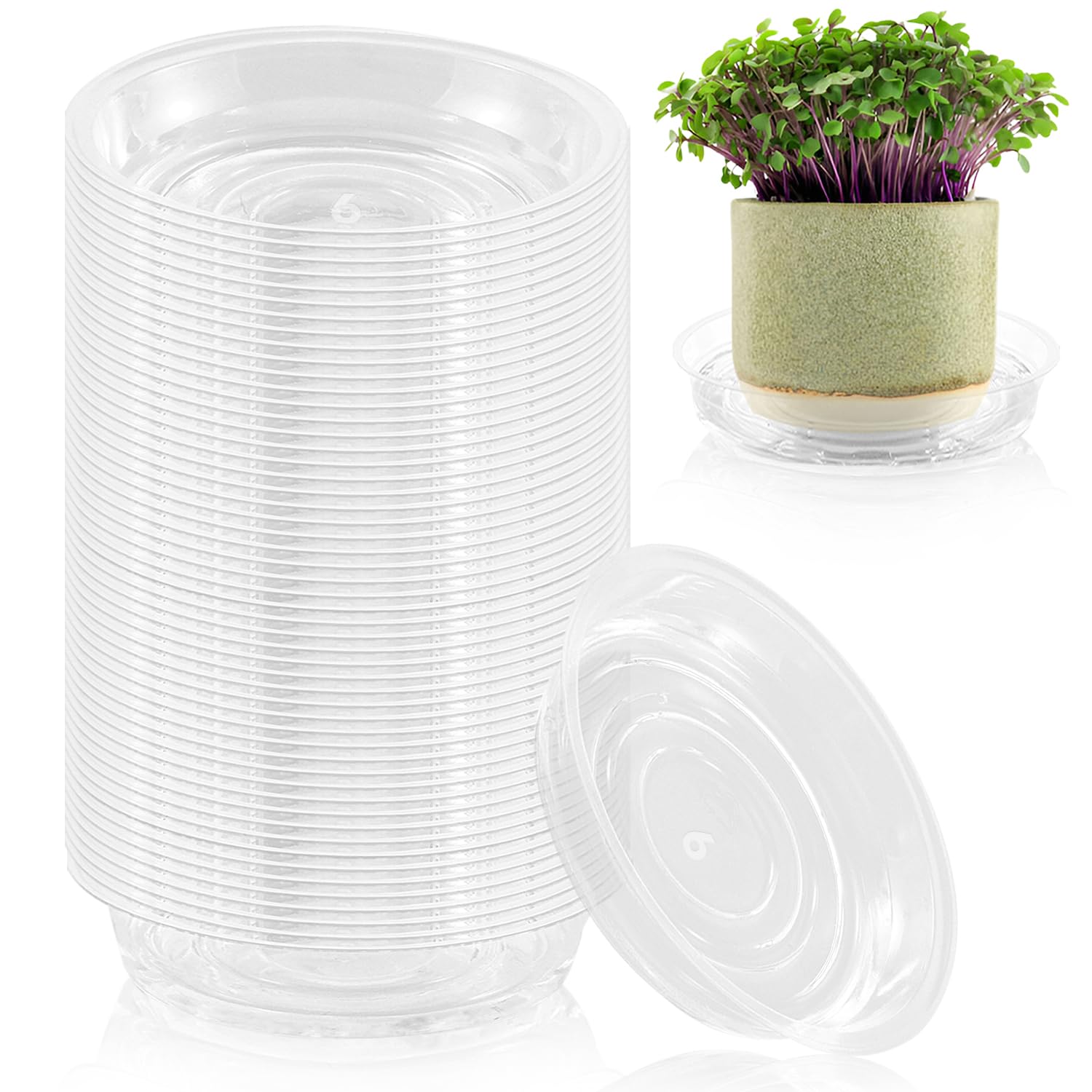 Photo 1 of 100 Pack 6 Inch Plant Saucer Clear Plant Saucers for Indoors Flower Pot Saucers Small Plants Plate Dish Succulent Pot Saucer Plants Trays for Pots Bulk Plastic Tray for Flower Cactus Nursery Pots