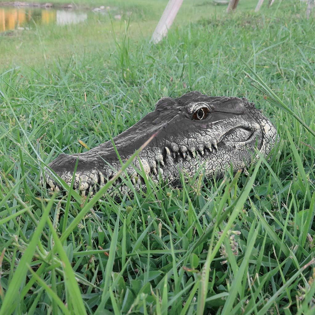 rc crocodile head