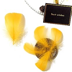 300pcs Golden Yellow Feathers 2-3 Inches Bulk