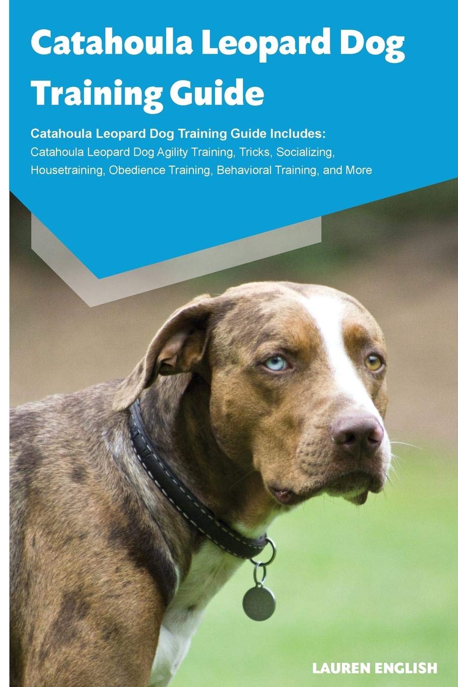 virbac cat toothbrush