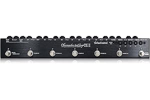 One Control CHAMAELEO-TAIL-LOOP-MKII One Control 5 Loop Programmable Switcher w/True Bypass & 15 Presets