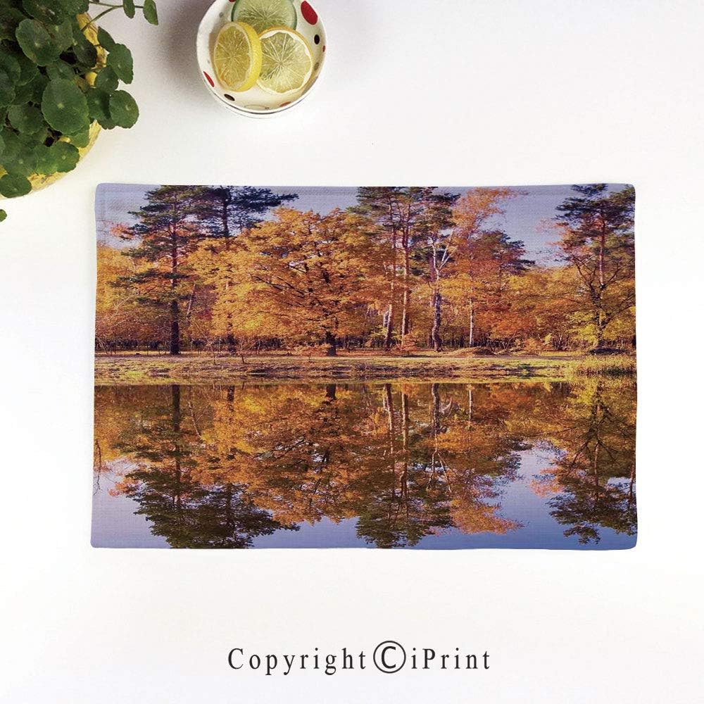 LIFEDZYLJH Linen Placemats Table Mats Eat Meal Mat,Natural Set of 6,17.5x11.5 Inch Flax Natural Fabric,Scenic Autumn Forest Reflects on The Lake Pale Leaf Trees Dreamy Park Nature Photo,Orange Blue