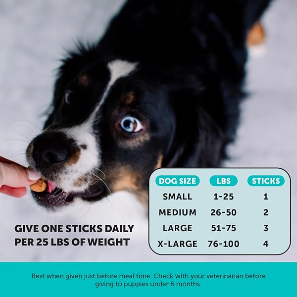 HEMP CALMING FRESH STICKS – DENTAL STICKS FOR DOGS – NATURAL DENTAL CHEWS, CALMING SUPPORT FOR DOGS, REDUCE HYPERACTIVITY AND ANXIETY, FRESHEN DOG BREATH, REDUCE PLAQUE + TARTAR – (30 CT)