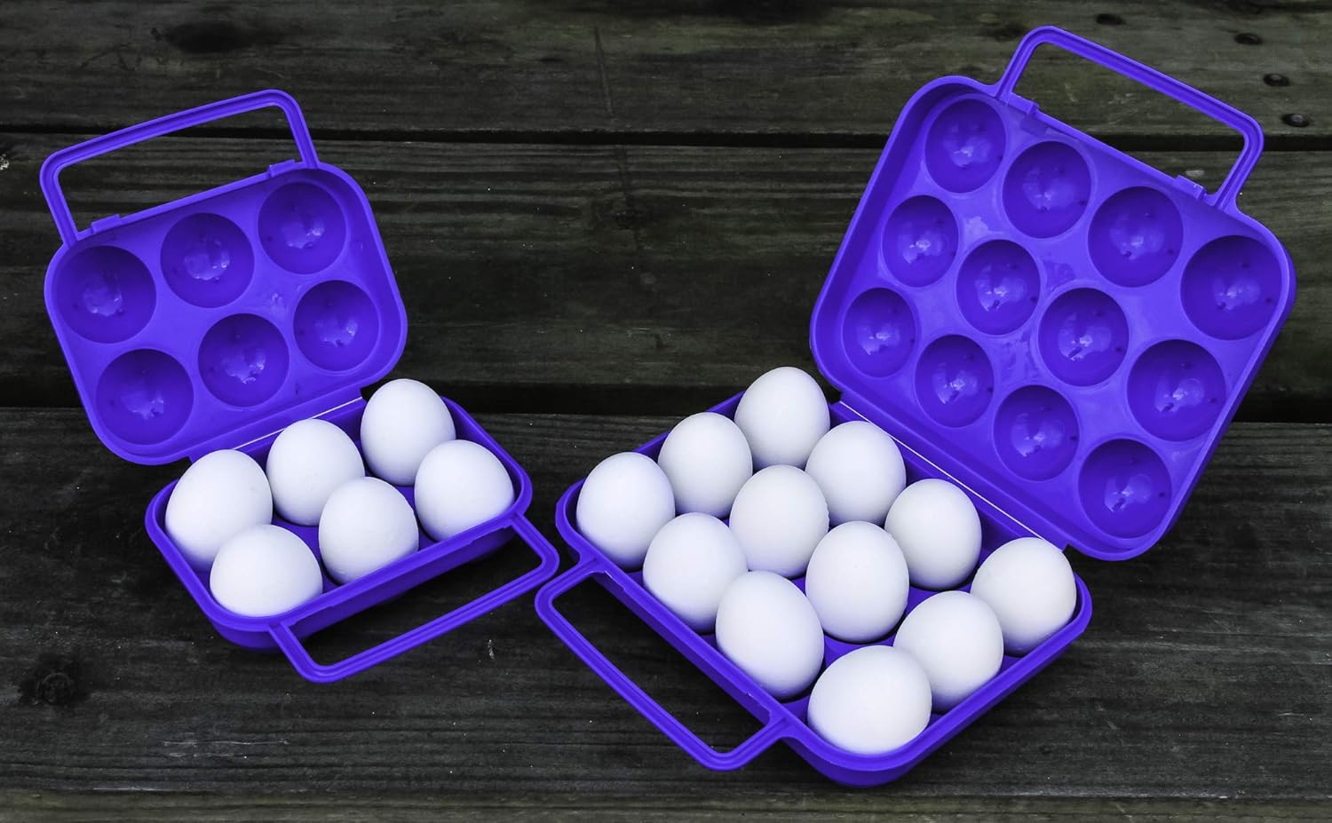Camco Egg Carrier-Holder - Organize Eggs and Prevent Eggs from Cracking, Easily Fits into Your Refrigerator , Great for RV, Trailer and Camper Kitchens or Camping Holds A Dozen of Eggs (51015): Automotive