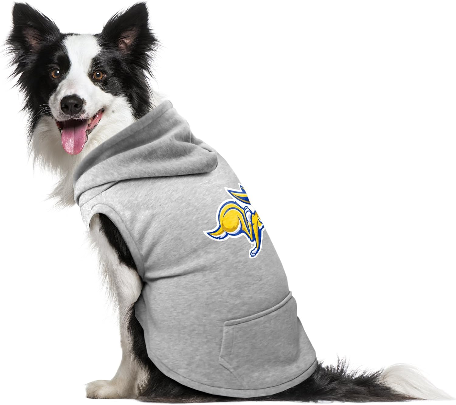 nba pet gear
