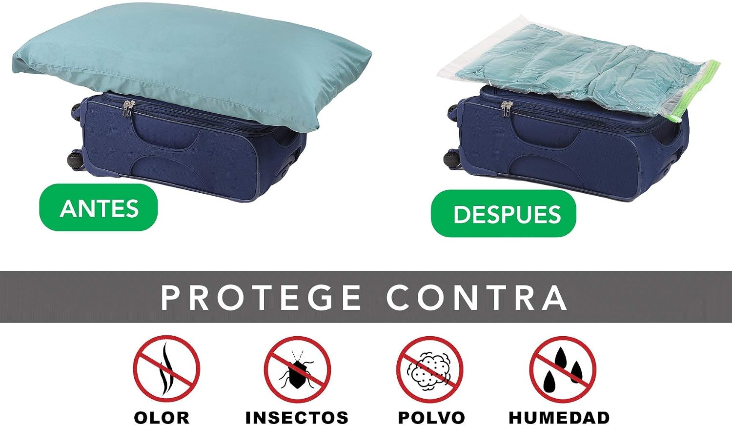 قط مايكل أنجلو أداء bolsas para comprimir equipaje - onburningpages.com