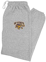 LOGOVISION San Francisco State University Primary