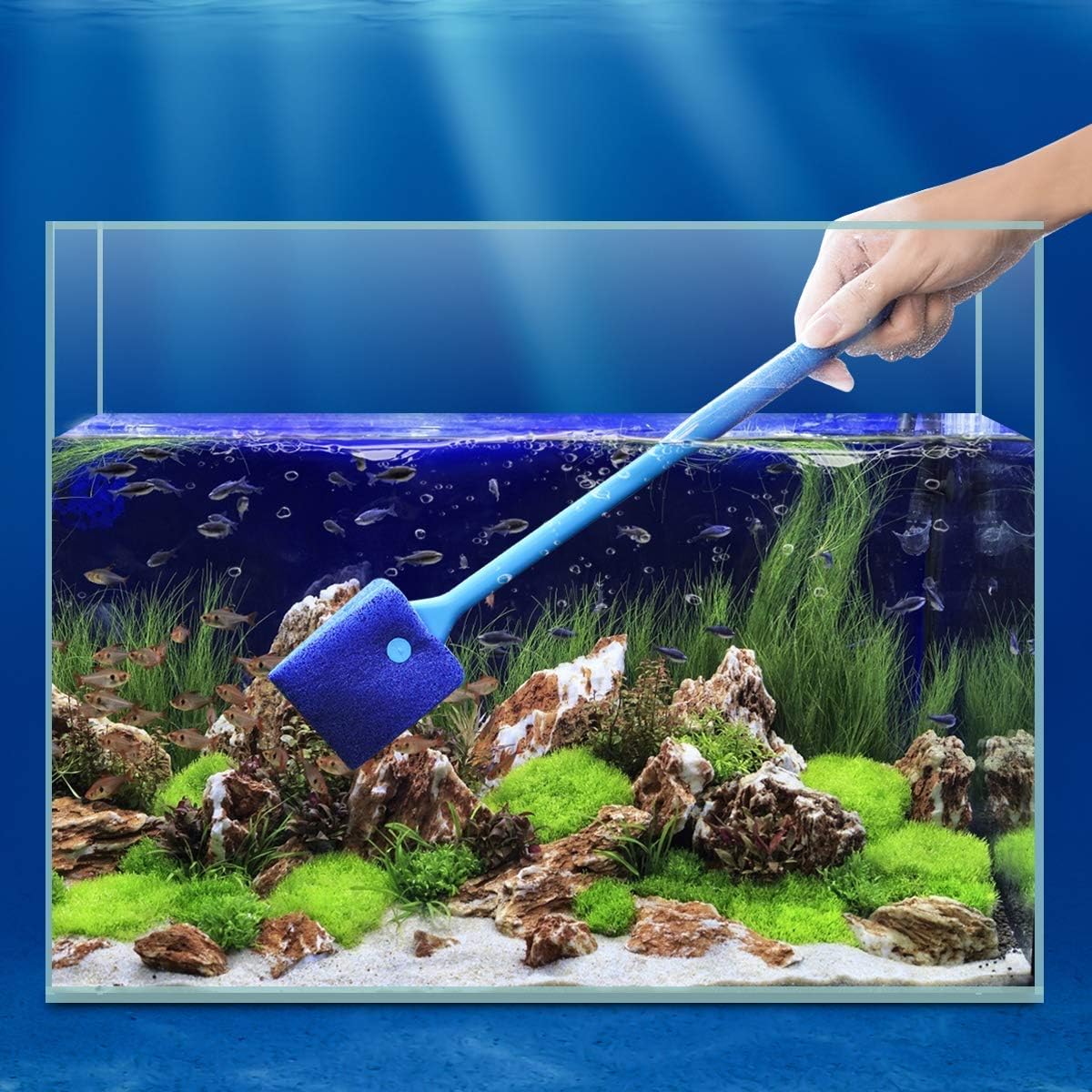 Aquarium Algae Scraper - Fish Tank Cleaning Double Sided Sponge Brush, Long Handle Fish Tank Scrubber for Acrylic Glass Aquariums (Blue) : Pet Supplies