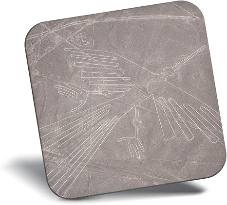 Amazon Co Jp 素晴らしい冷蔵庫マグネット ナスカの地上絵ザ コンドルペルークールギフト ホーム キッチン