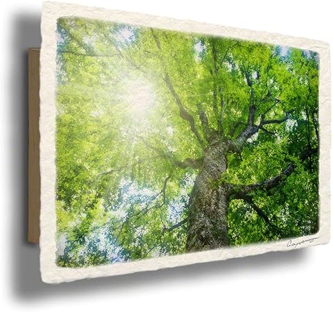 Amazon Co Jp 和紙 アート パネル 緑 グリーン 木 森 木漏れ日と新緑のブナの大木 36x24cm 風水 玄関 に 飾る 絵 絵画 金運 おしゃれ インテリア トイレ 和風 アイテム グッズ ホーム キッチン