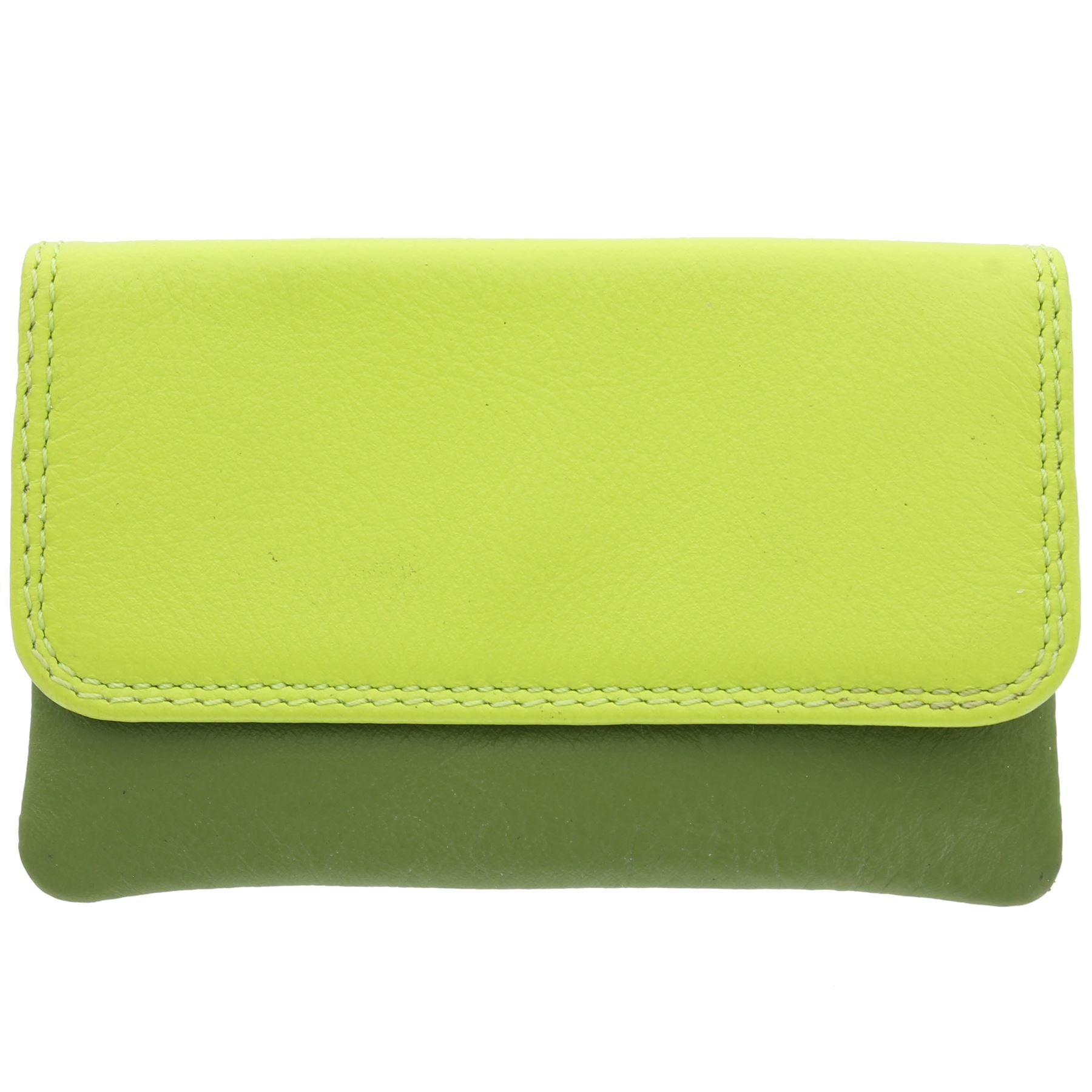 Visconti Leather Rainbow Collection Tahiti Purse RB99 Lime Multi