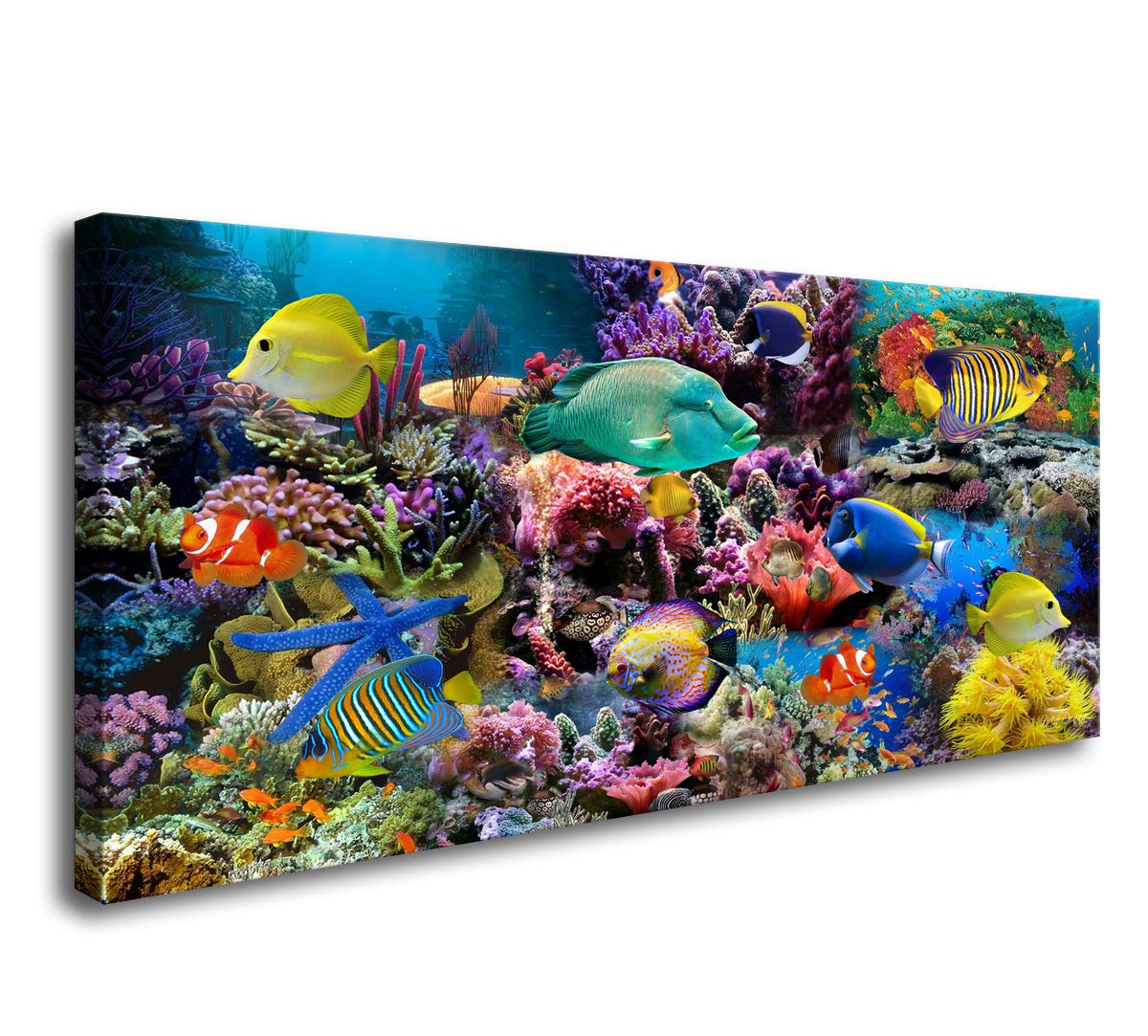 Best living room wall art coral