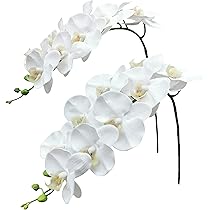 Amazon.com: FagusHome 41
