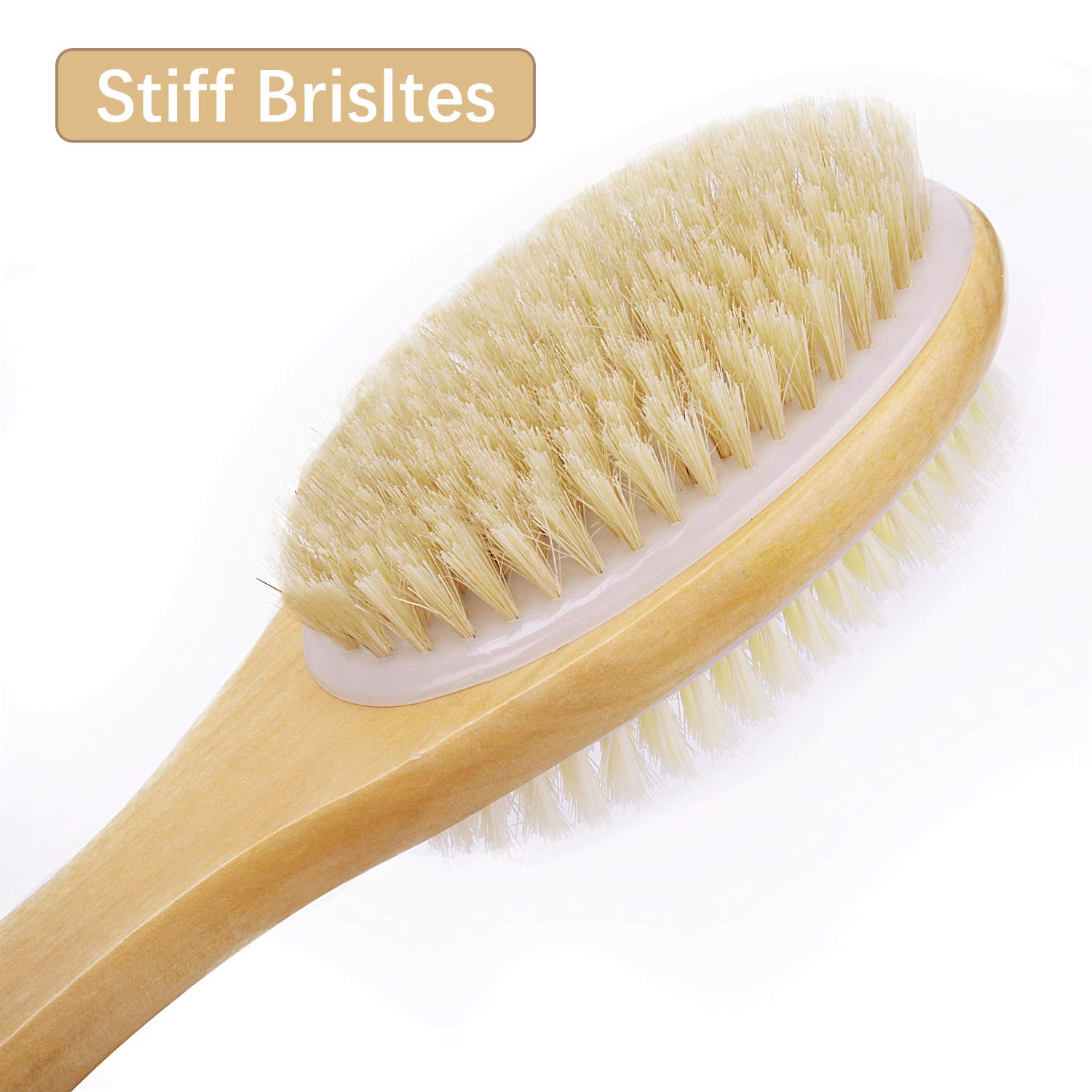 Shower Brush with Soft and Stiff Bristles, for Exfoliating Skin and A Soft Scrub, Double-sided Brush Head for Wet or Dry Brushing, Specially Long Wooden Handle Cleans the Body Easily : Beauty
