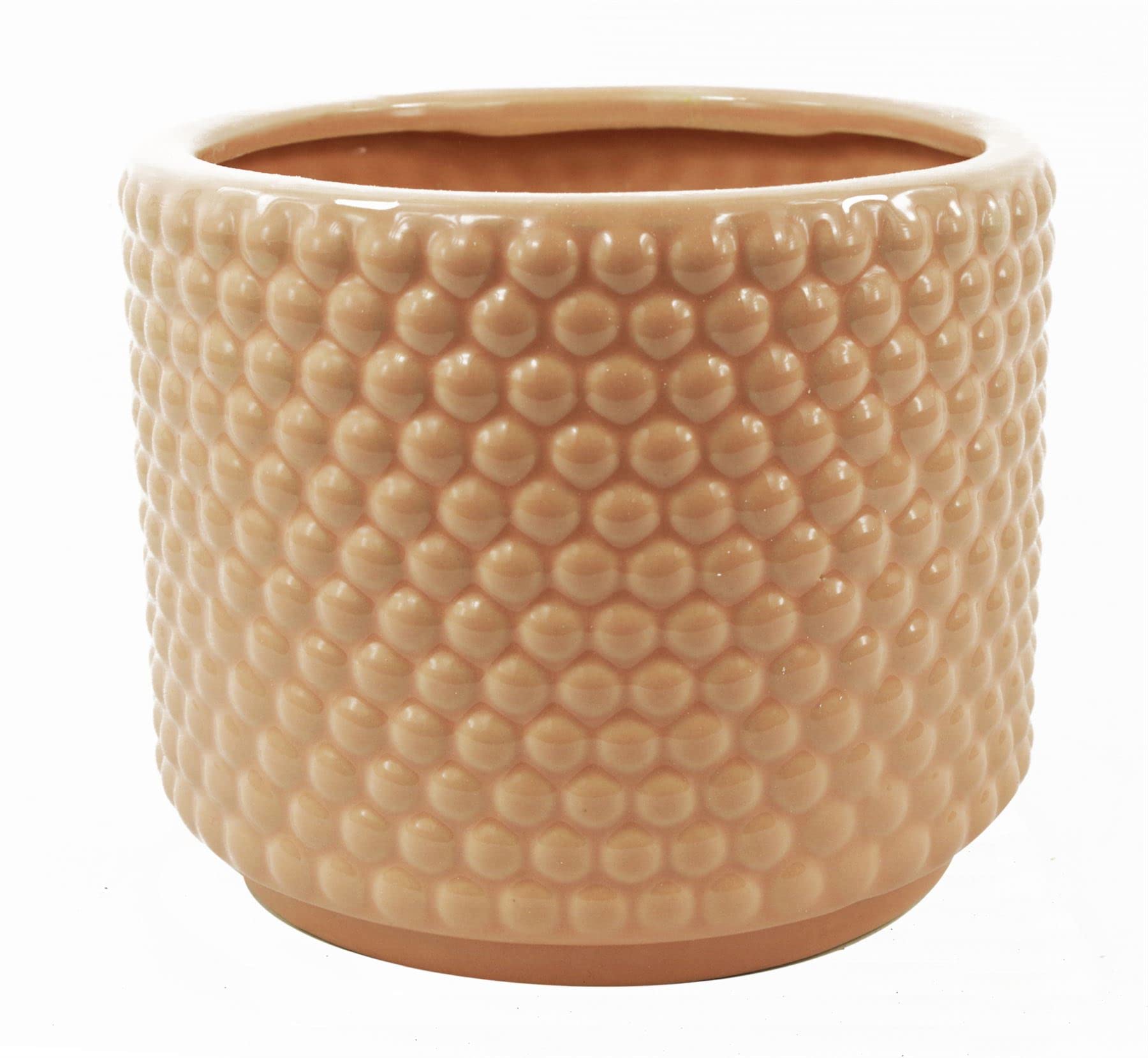 Botanik Luxury Ceramic Planters