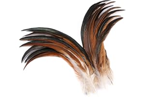 Holmgren Natural Rooster Tail Feathers - 60pcs 12-14inch Natural Long Rooster Tail Feathers Bulk for DIY Crafts Hats Costume, Holiday Themed Party Decoration (Natural)