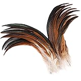 Holmgren Natural Rooster Tail Feathers - 60pcs