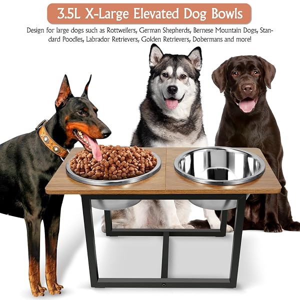 SPACNOM ELEVATED DOG BOWLS FOR LARGE DOGS, RAISED DOG BOWL STAND WITH TWO X-LARGE STAINLESS STEEL BOWLS FOR DOGS, 3.5L CAPACITY, RUSTIC WALNUT