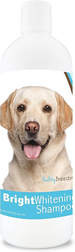 golden retriever bright whitening shampoo