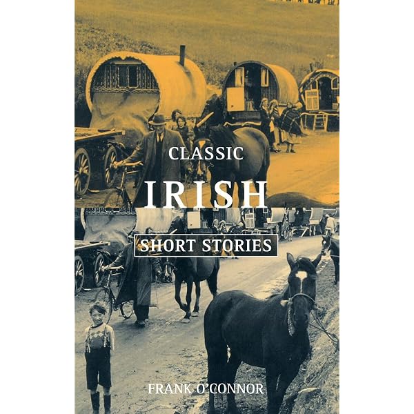 Modern Irish Short Stories: Various, Ben Forkner: 9780140246995