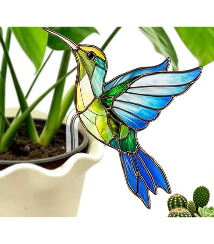 Amazon.com: FBBP Hummingbird Gifts for Women, Hanging Plant