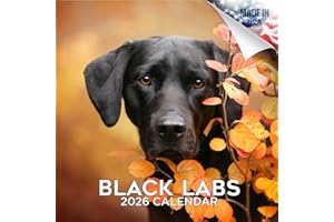 MEGACALENDARS 2025 2026 Labrador Black Calendar - Dog Breed Monthly Wall Calendar - 12" x 24" Open - Thick No-Bleed Paper - Giftable - Academic Teacher's Planner Calendar Organizing & Planning - Made in USA