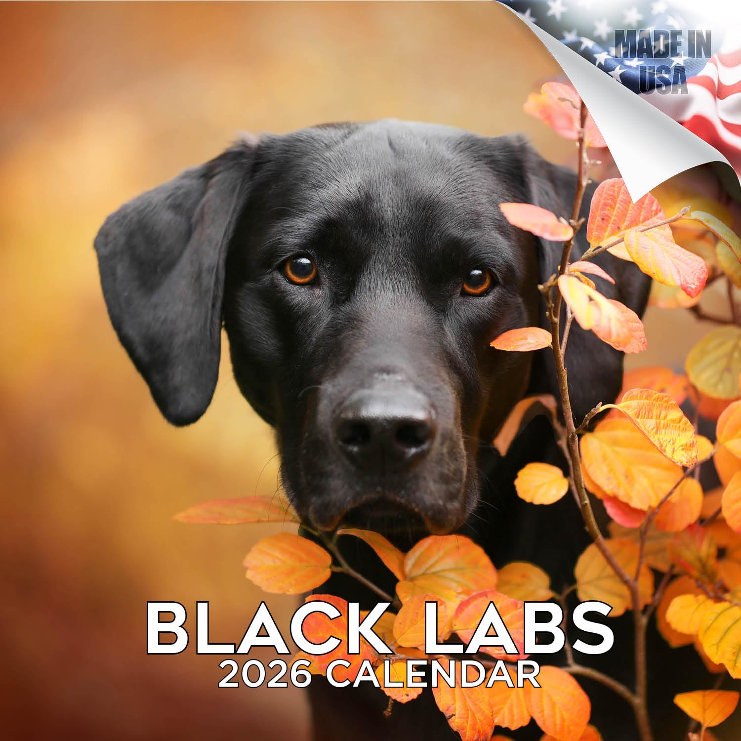 2025 2026 Labrador Black Calendar - Dog Breed Monthly Wall Calendar - 12 x 24 Open - Thick No-Bleed Paper - Giftable - Academic Teacher's Planner Calendar Organizing & Planning - Made in USA