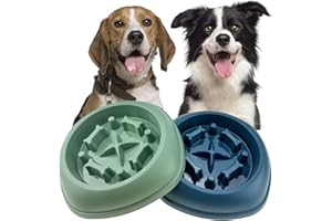 CAISHOW Slow Feeder Dog Bowls 2Pcs Puzzle Dog Bowls, Non Slip Interactive Dog Feeding Bowls Slow Down Eating, Bloat Stop Maze Dog Dishes for Small Medium Size Dogs(Set Blue Green)