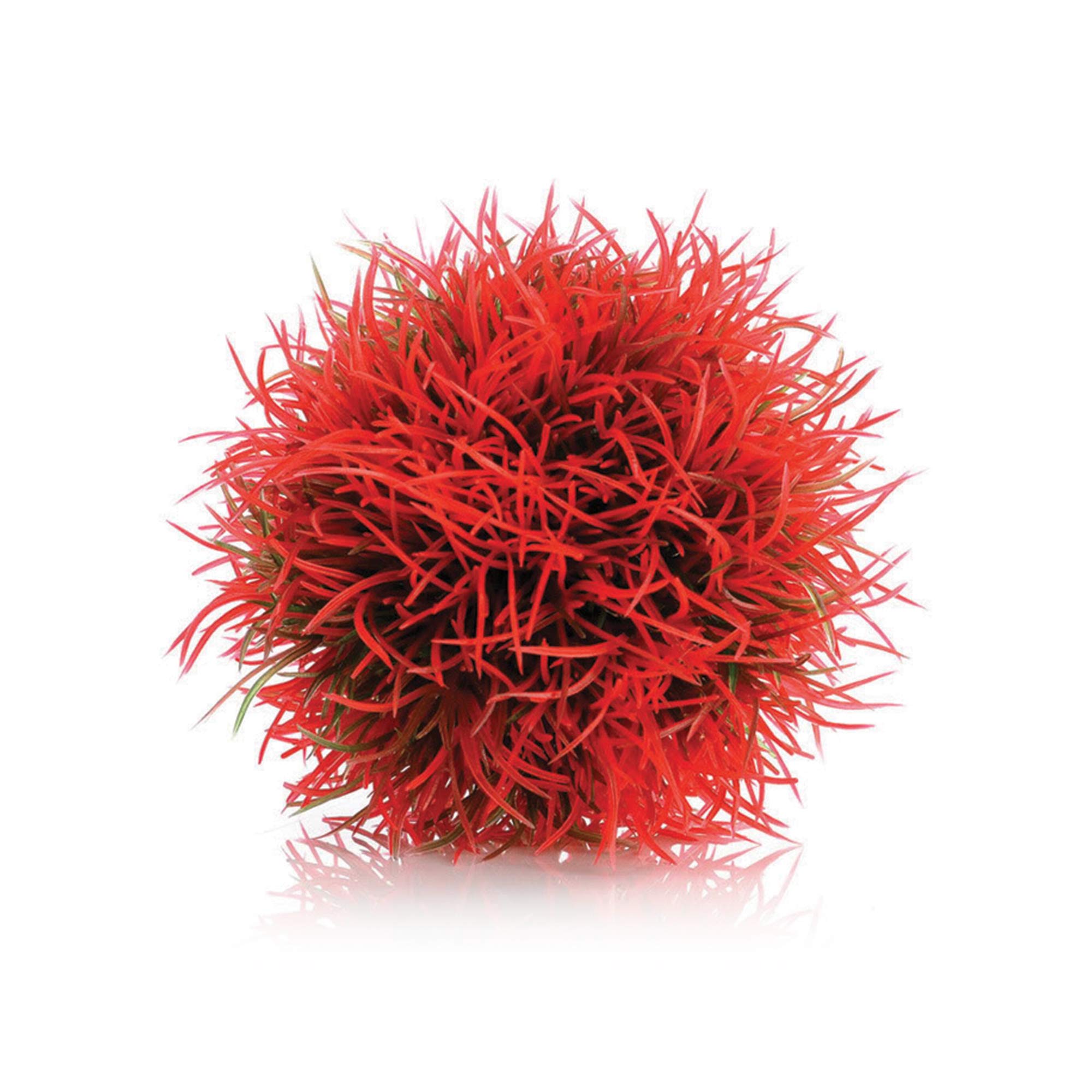 biOrb Topiary Ball red