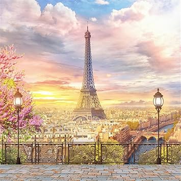 Aofoto 5x5ft Eiffel Tower Backdrop Paris Landscape City Amazon In Electronics